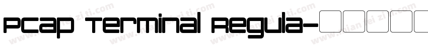 PCap Terminal Regula字体转换